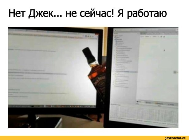 ﻿Нет Джек... не сейчас! Я работаю