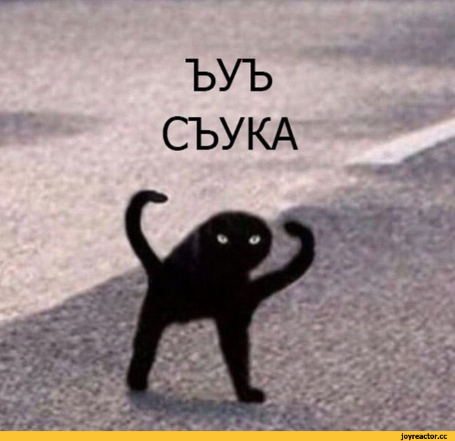 ﻿ЪУЪ
СЪУКА