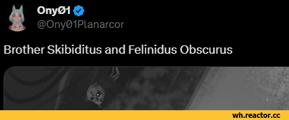 ﻿tOny 01 O @Ony01Planarcor Brother Skibiditus and Felinidus Obscurus