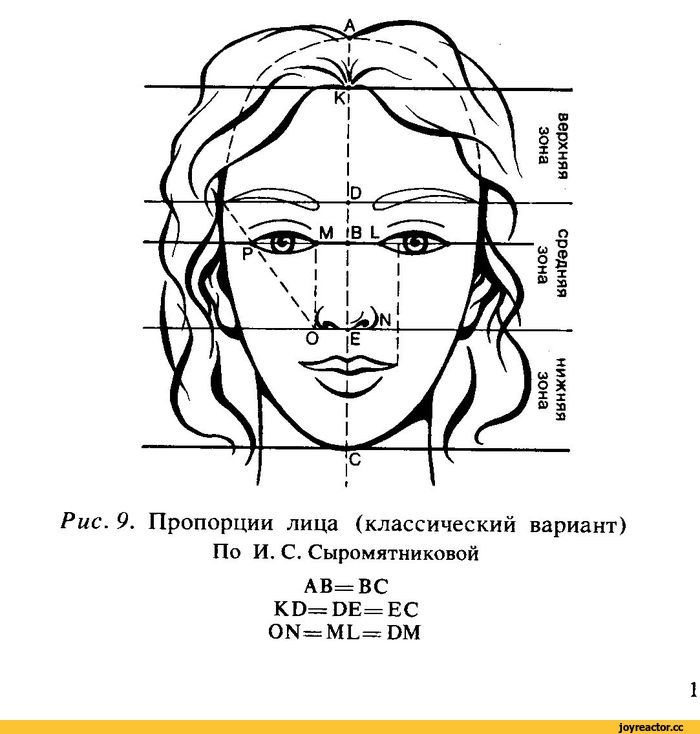 ﻿Рис. 9. Пропорции лица (классический вариант) По И. С. Сыромятниковой АВ= ВС КБ= ЭЕ= ЕС (Ж—МЬ=ОМ
1,Каляки-Маляки,Каляки-Маляки,каляки-маляки, Каляки-Маляки, Каляки маляки, ,разное,помощь Каляк,школа Каляк