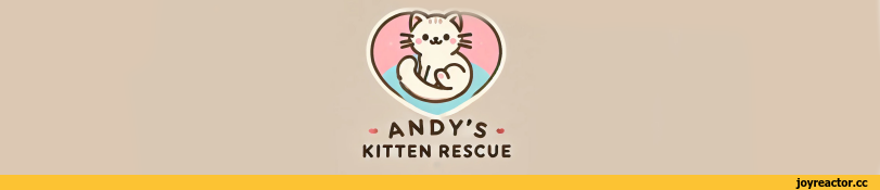 ﻿- ANDY'S - KITTEN RESCUE,пупупу,котэ,прикольные картинки с кошками,реактор благотворительный,говносайт,длиннопост