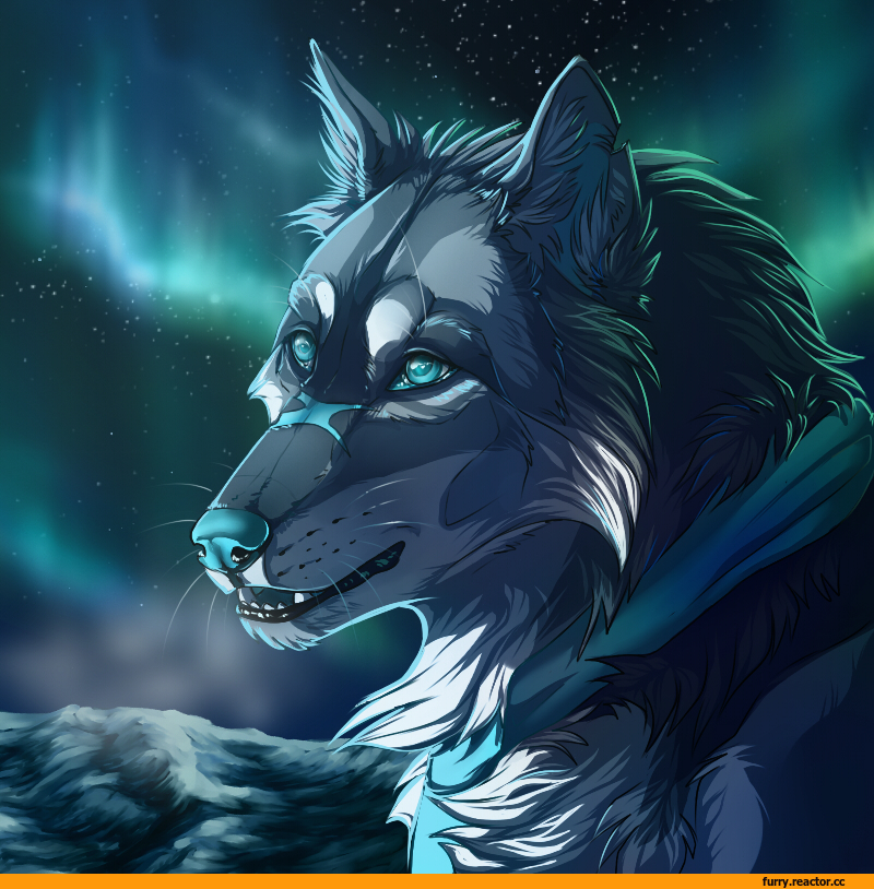 WolfsRoad,furry art,furry,фурри,фэндомы,furry wolf