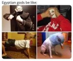 ﻿Egyptian gods be like: • to ж